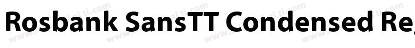 Rosbank SansTT Condensed Regular字体转换